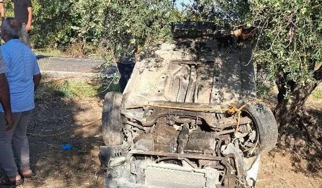 Altınözü'nde otomobil zeytinliğe uçtu: 1 yaralı