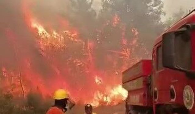 Antalya'da ekipler alevlerin arasında kalmaktan son anda kurtuldu