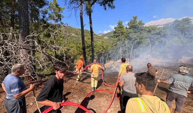 Beşkonak'ta kopan enerji nakil hattı orman yangınına neden oldu