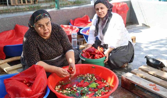 Damlar şarkılı türkülü salça mesaisi ile kırmızıya boyandı