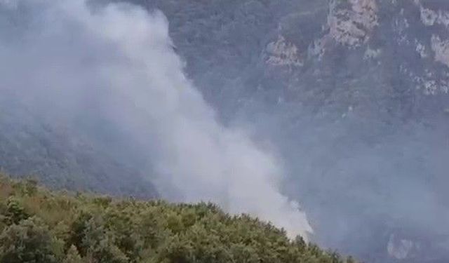 Hatay'da orman yangını: Ekiplerin müdahalesi başladı