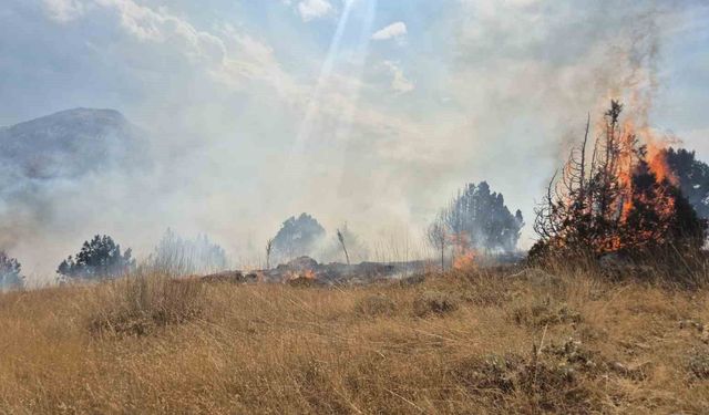 Isparta'da ormanlık alanda çıkan yangın 6 saatte söndürüldü