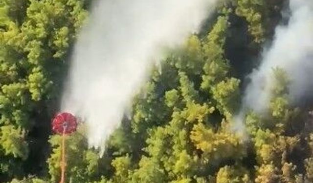Manavgat'taki orman yangını kontrol altına alındı