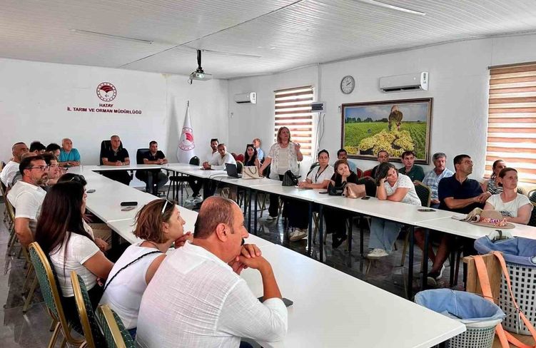 Hatay'da turunçgillerde doğru hasat uygulamaları anlatıldı