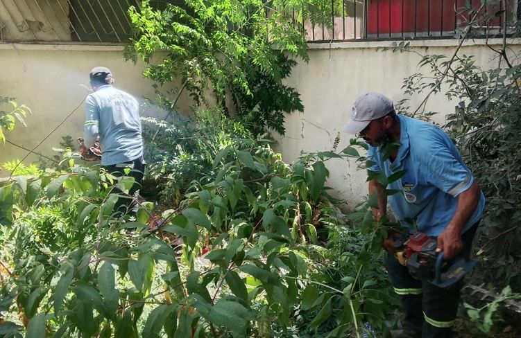 Mersin' de park ve yeşil alanlarda bakım çalışmaları sürüyor