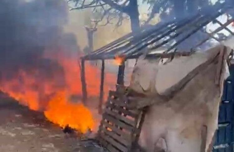 Mersin'de seranın yanındaki barakada yangın paniği