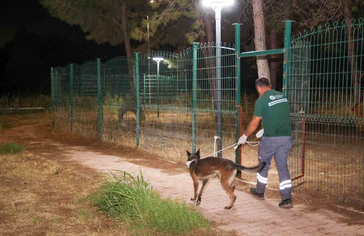 Büyükşehir ekipleri yangında can dostlar için seferber oldu