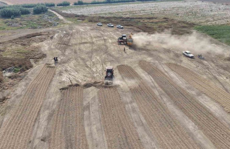'Tüccar alım yapmıyor, yer fıstığında fiyat düşüyor'