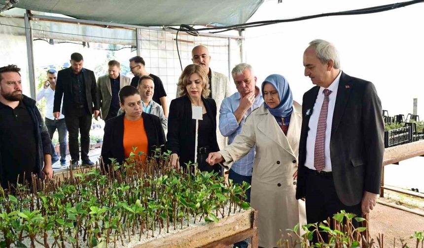 Kepez Belediyesi, ilçeyi kendi yetiştirdiği bitkilerle yeşillendiriyor