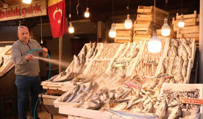 Mersin’de dev balık bin 500 liradan alıcı buldu