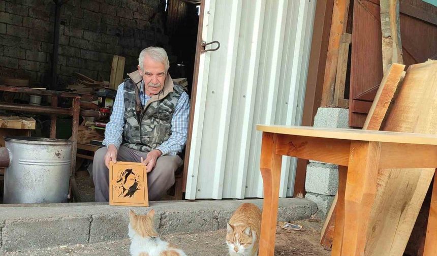 Depremden sonra sokakta kalan kedilere sahip çıktı