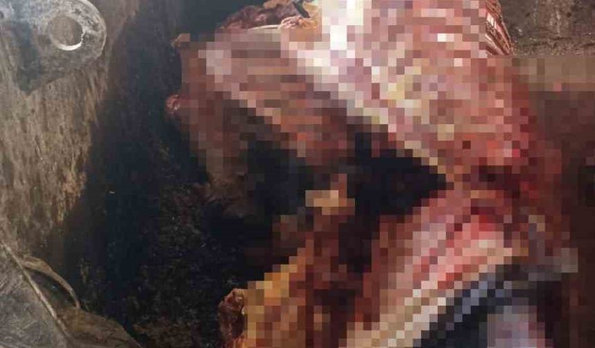 Adana’da 2,5 ton at eti ele geçirildi