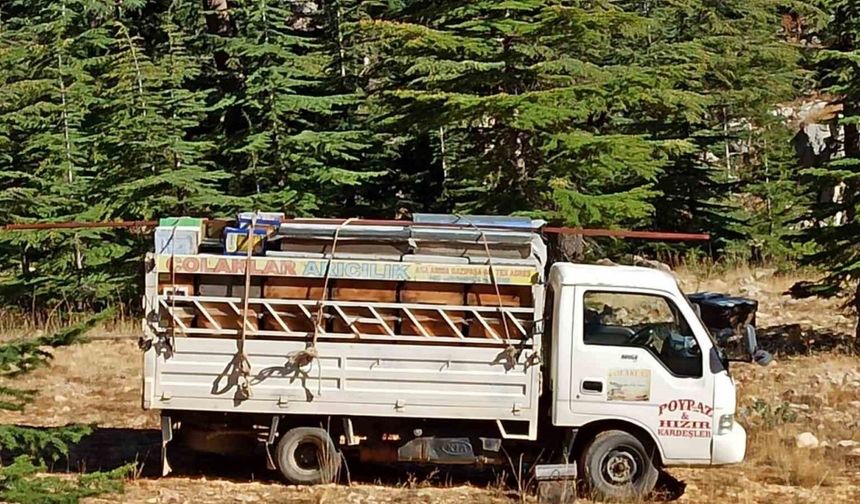Gazipaşa’da arıcıların yayla mesaisi başlıyor