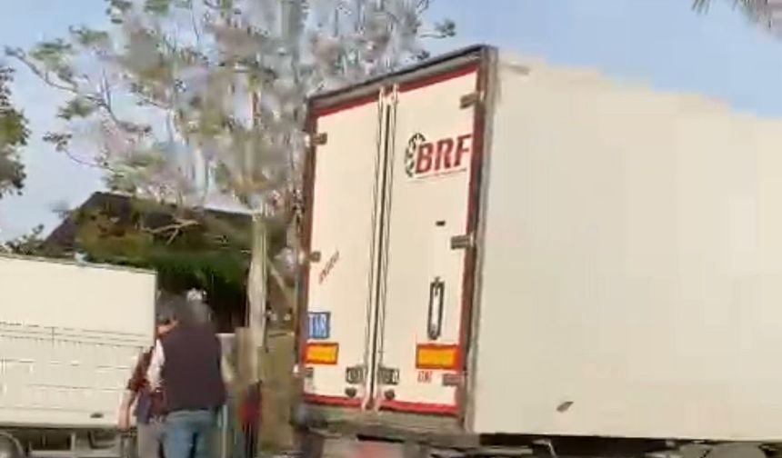 Gazipaşa’da sebze yüklü tır refüjdeki palmiye ağacına çarptı: 1 yaralı