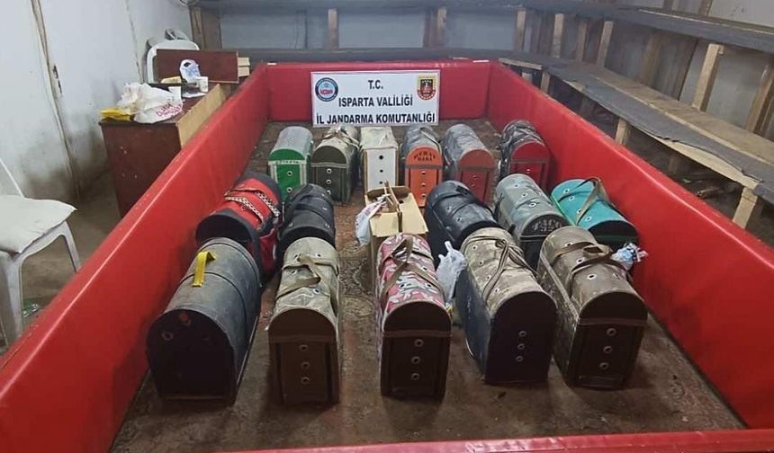 Isparta’da horoz dövüşüne jandarma baskını
