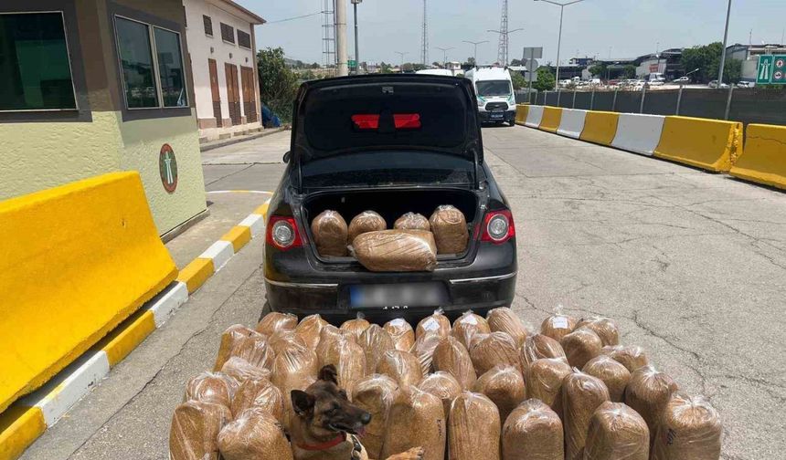 Mersin’de kaçak tütün ve makaron operasyonu: 4 gözaltı