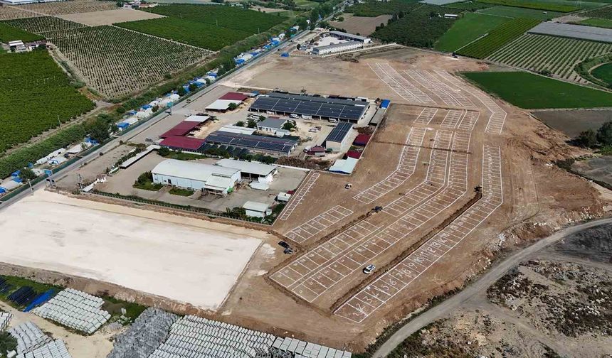 Tarsus’ta kurbanlık hayvan satışları tek alanda yapılacak
