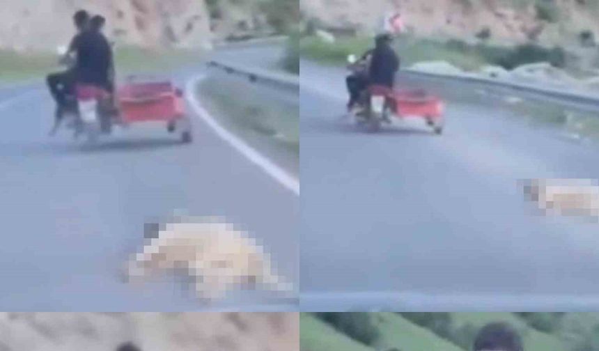 Telef olan köpeği sürükleyen şahsa 50 bin TL  ceza
