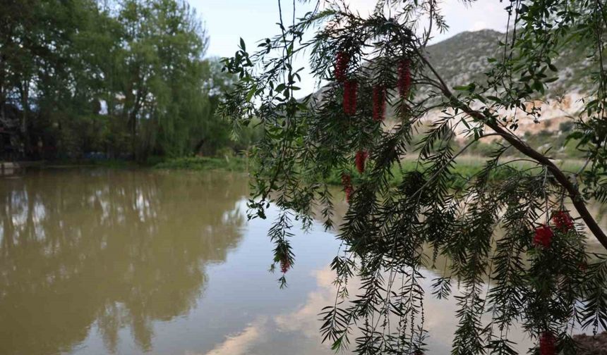 Yağmurlarla birlikte su seviyesi arttı doğa coştu