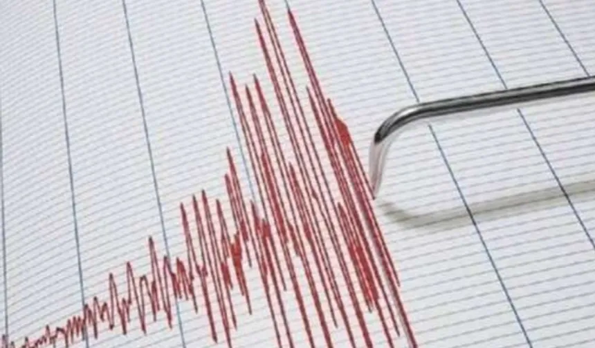 Gökçeada açıkları 4,6 büyüklüğünde sallandı