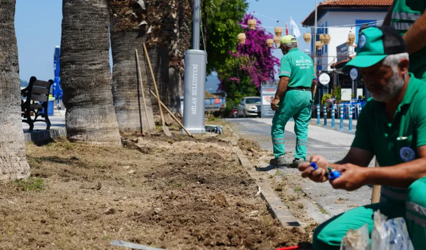 Milas Belediyesi, Güllük’te çalışmaları hızlandırıyor