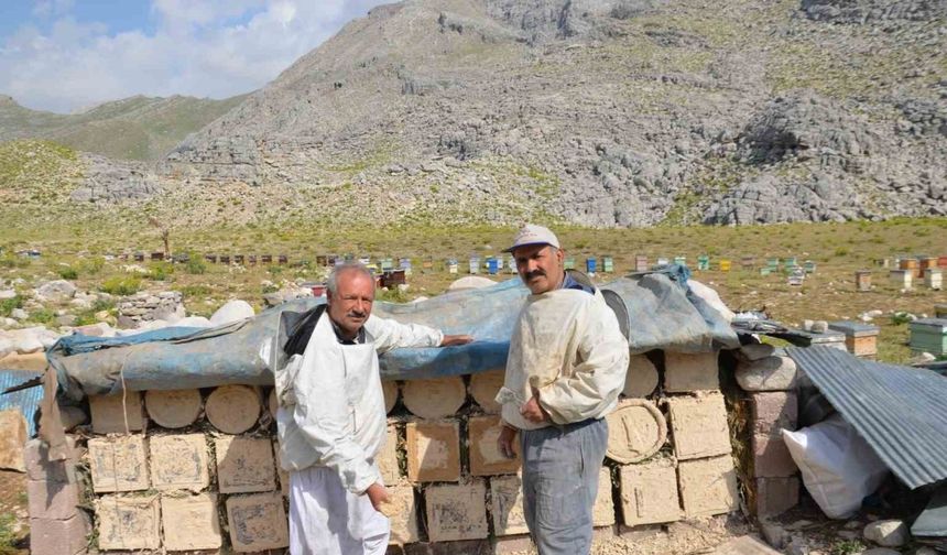 Antalya’da arıcılar kara kovanlarını yüksek kesimlerdeki yaylalara çıkardı