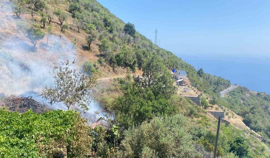 Bahçe yangını büyümeden söndürüldü