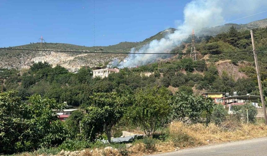 Hatay’da ormanlık alanda çıkan yangın söndürüldü