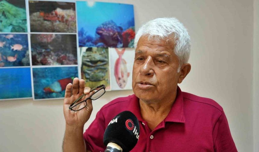 Köpek balıklarına yapılan "gösteri işkencesine" uzman uyarısı: "Ekosistemi bozuyor, korku yayıyor "