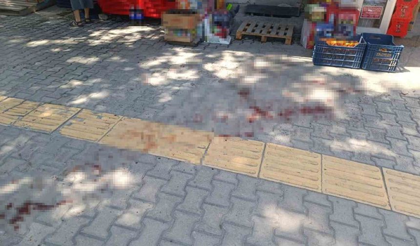 Mersin’de kavgada bir kişiyi bıçaklayan şüpheli tutuklandı