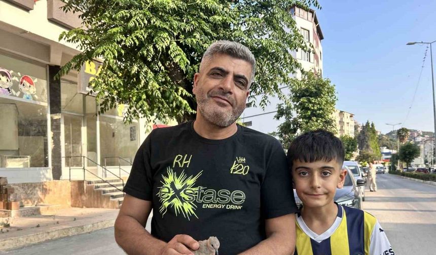 Yavru kumruyu kurtarmak için seferber oldu