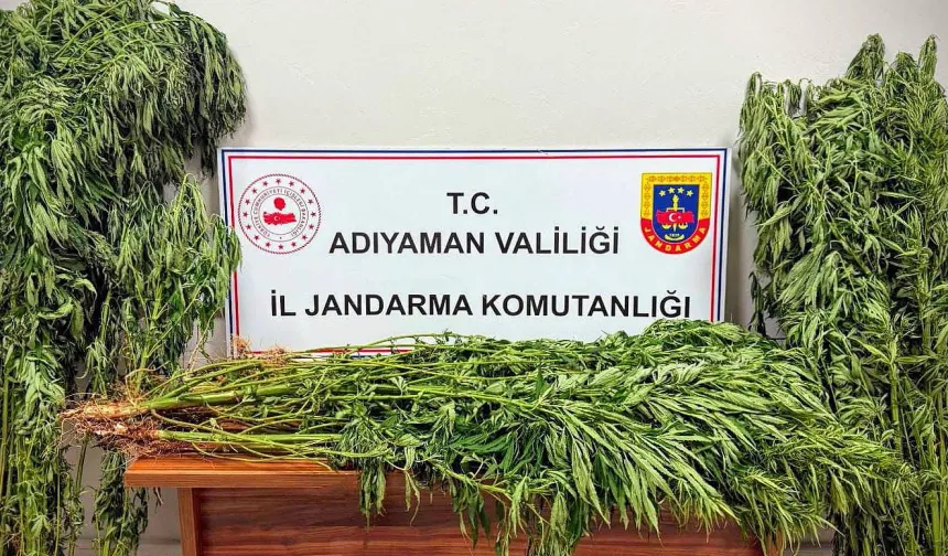 Adıyaman’da uyuşturucu operasyonu: 9 gözaltı