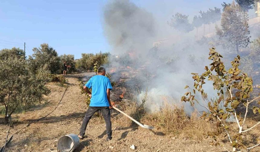 Adana’da ağaçlık alanda çıkan yangın kontrol altına alındı