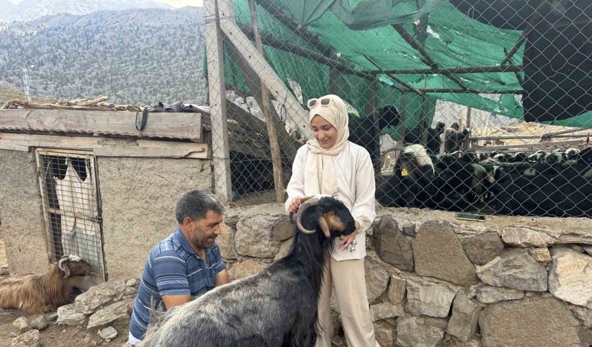 Antalya’da yüzyıllardır süren Yörük kültürü ’keçi kıl kırkımı’
