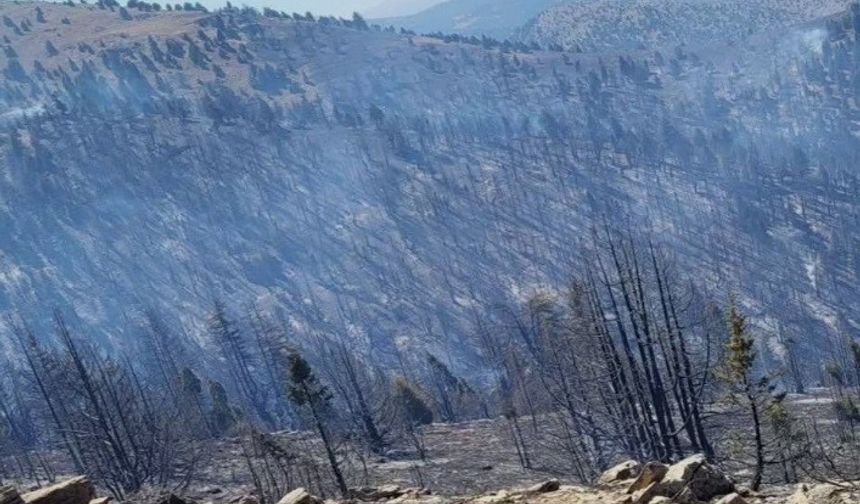 Kahramanmaraş’taki orman yangını sürüyor