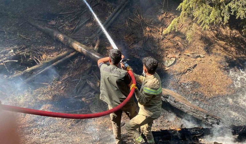 Kahramanmaraş’taki orman yangınına müdahale sürüyor