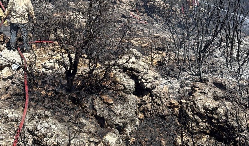 Mersin Silifke’de yangın ormanı sarmadan söndürüldü