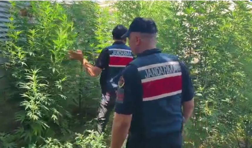 Mersin’de uyuşturucu operasyonu: 8 gözaltı