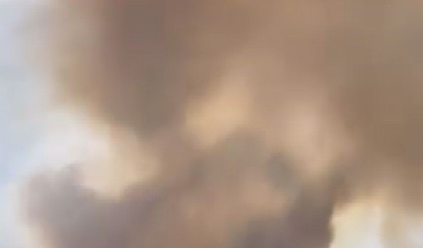 Hatay’da zeytinlik alanda çıkan yangın büyümeden söndürüldü