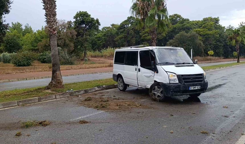 Kontrolden çıkan kamyonet palmiye ağacına çarptı: Kaza anı kamerada