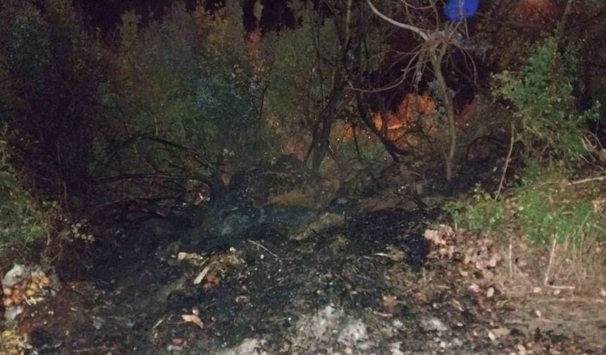 Bucak’ta arazi yangını