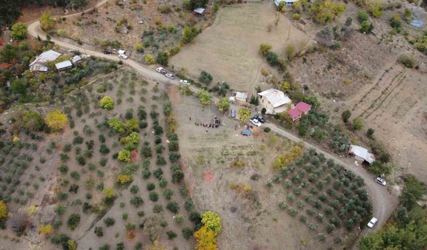 Dünyanın en pahalı baharatı safran Adana’da hasat edildi