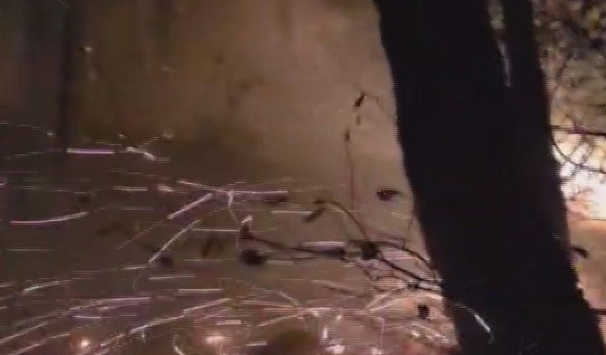 Hatay’da yıldırımın düştüğü ormanlık alandaki yangın 16’ncı saatte kontrol altına alındı