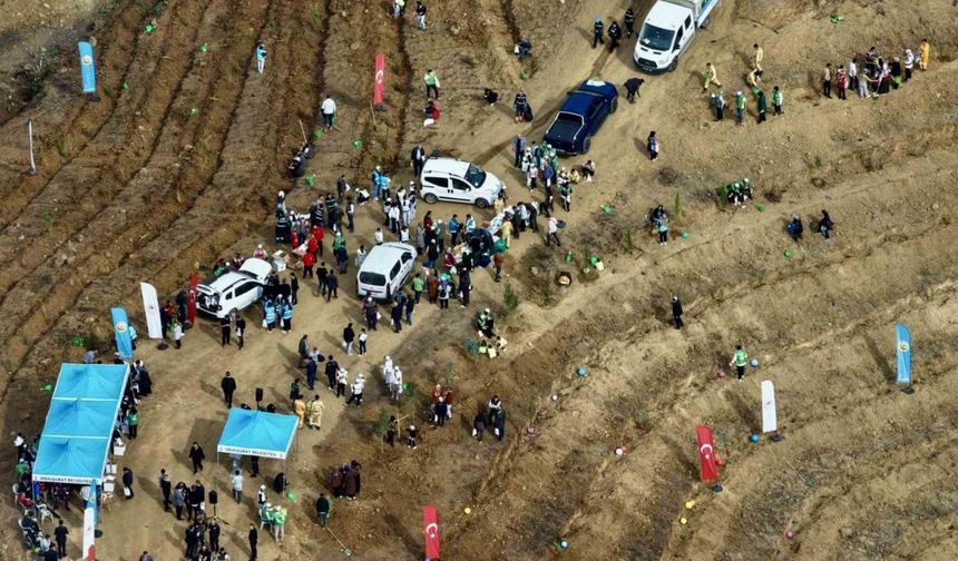 Kahramanmaraş’ta yanan alanlara fidanlar dikildi