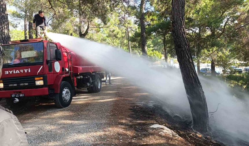 Ormanlık alanda çıkan yangını vatandaşlar söndürdü