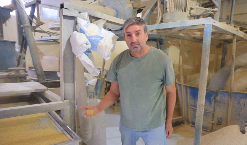 Taş değirmenler zamana direniyor