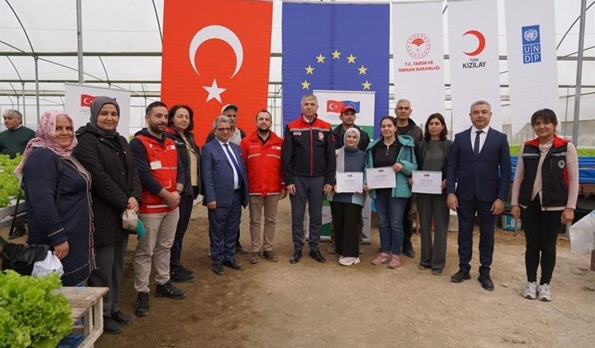 Adana’da topraksız marul yetiştiriciliği başladı