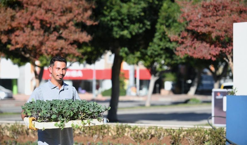 Konyaaltı’nda mevsimlik çiçek ekimi