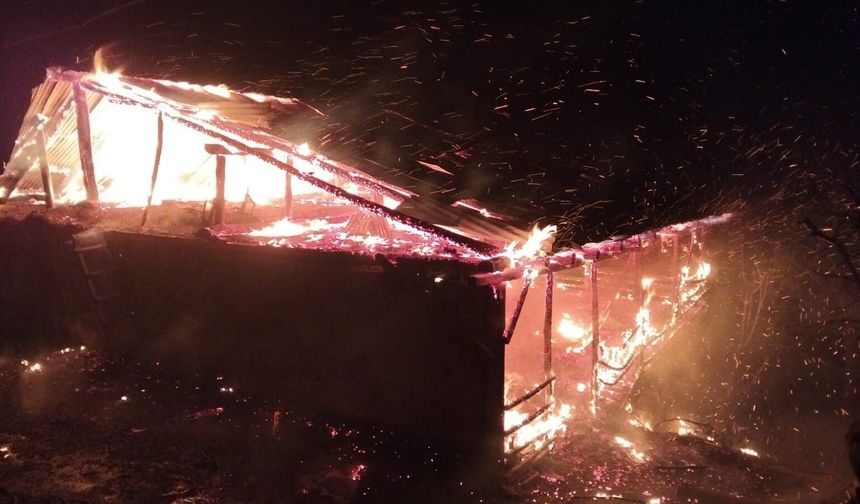 Adana'da yangın: Ev ve ahır küle döndü