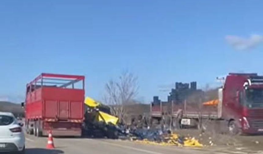 Burdur'da limon yükü tır şarampole devrildi